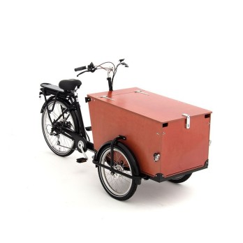 BABBOE PRO TRIKE E