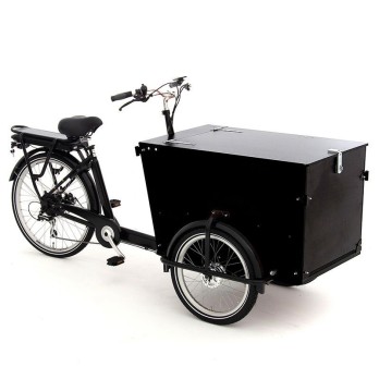 BABBOE PRO TRIKE E 2