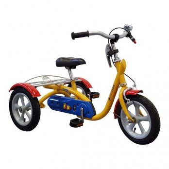 HUSKY TRICYLE VANRAAM