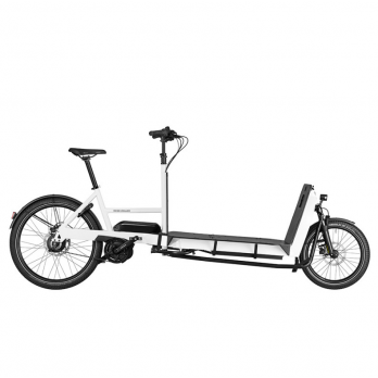 VAE RIESE AND MULLER TRANSPORTER 265
