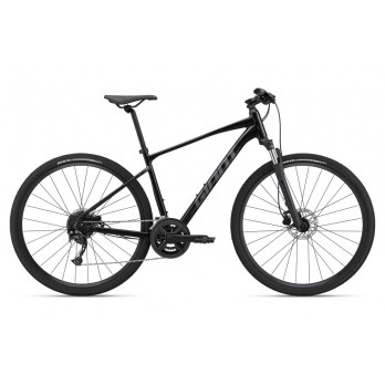 GIANT ROAM DISC 2 M