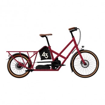 BIKE43 BOSCH CARGO LINE 725WH-ENVIOLO MANUAL-ANTHR 2