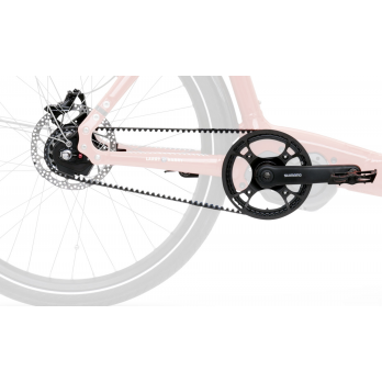 Cargo eBullitt 6100 2