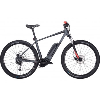 VAE BULLS LT CX 29