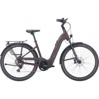 PEGASUS Strong EVO 10 Lite