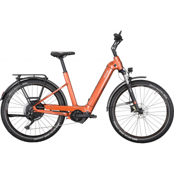 VAE KETTLER QUADRIGA TOWN & COUNTRY P10 625 Wh 2