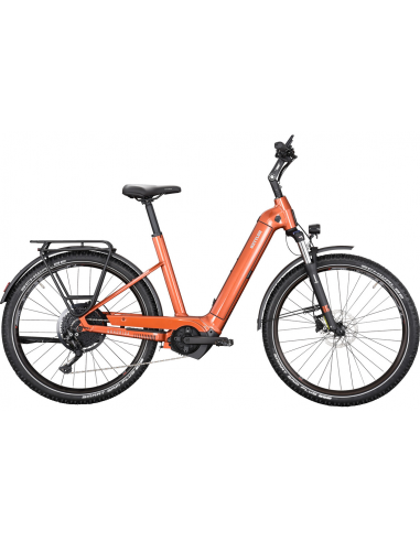 VAE KETTLER QUADRIGA TOWN & COUNTRY P10 750 Wh