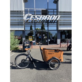 BABBOE CURVE MOUNTAIN 500WH