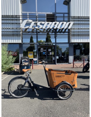 BABBOE CURVE MOUNTAIN 500WH