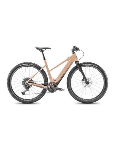 VAE DIMANCHE 29 GRAVEL 2