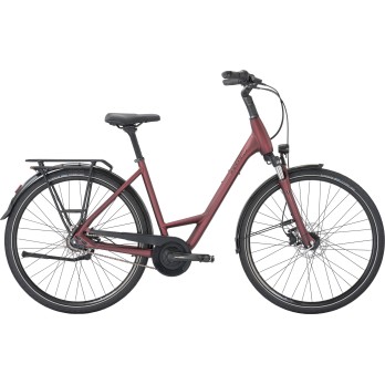 VTC PEGASUS STRONG SL DISC 8